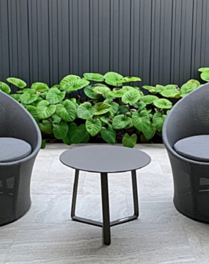 toulouse curso Diseño de Terrazas y Jardines